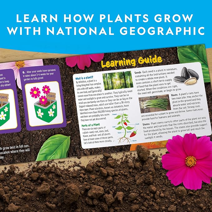 National Geographic Flower & Herb Gardening Kit for Kids - Gardening Set with 3 Stainless Steel Pots, Paint & Stickers, Kids Plant Growing Kit