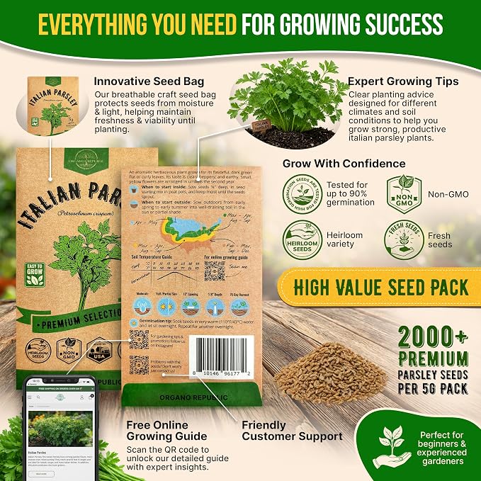 Organo Republic Italian Parsley Seeds Pack 5G - Over 2,000 Non-GMO Heirloom Parsley Seeds for Planting Herbs in Individual Seed Packet, Herbs Seeds for Planting Home Garden Indoor & Outdoor Gardening